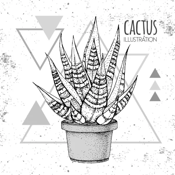 Dibujo a mano vector cactus ilustración en el fondo del triángulo grunge — Vector de stock