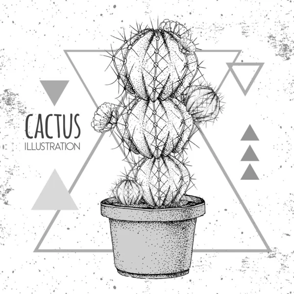 Dibujo a mano vector cactus ilustración en el fondo del triángulo grunge — Archivo Imágenes Vectoriales