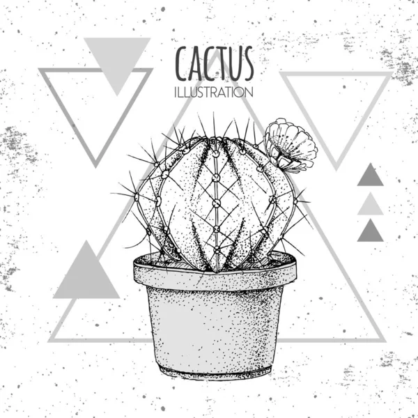 Dibujo a mano vector cactus ilustración en el fondo del triángulo grunge — Vector de stock