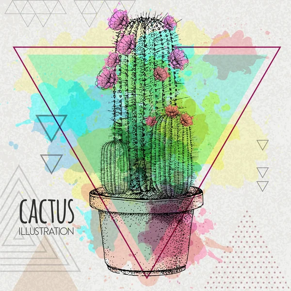 Mano disegno cactus vettoriale illustrazione su artistico acquerello triangolo sfondo — Vettoriale Stock