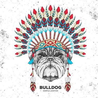 Hint tüyü başlıklı hippi hayvan bulldog 'u. El çizimi hayvan buldog ağzı