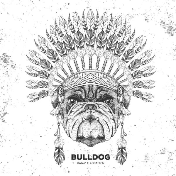 Bulldog Animal Hipster Con Tocado Plumas Indias Dibujo Mano Bozal — Archivo Imágenes Vectoriales