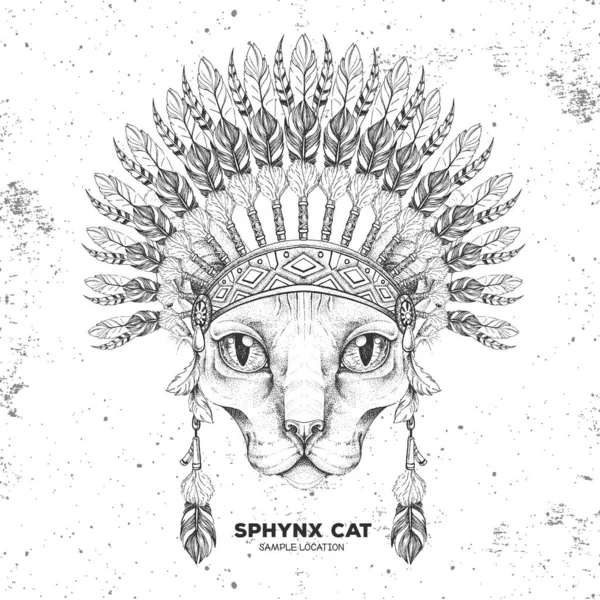 Hipster Animal Sphynx Gato Con Tocado Plumas Indias Dibujo Mano — Vector de stock