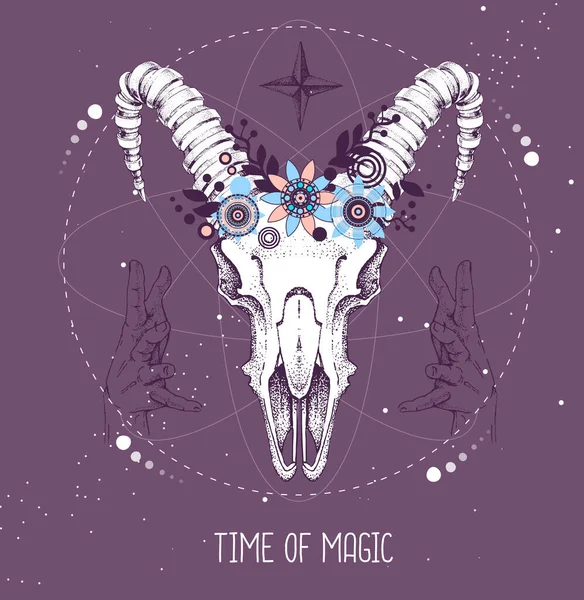 Astroloji arka planında hayvan kafatası olan modern büyücü taros kartı. Vektör illüstrasyonu