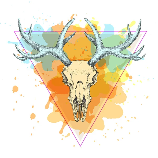 Hipster Animal Skull Artistic Polygon Watercolor Background Skull Deer — Stock Vector