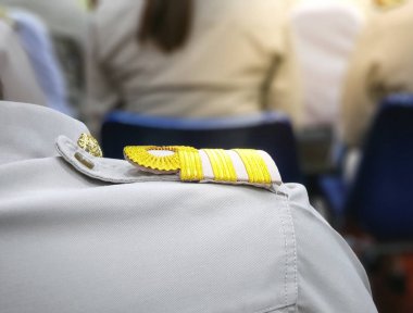 Taylandlı devlet memurunun işaretleriyle omuz askıları ve çizgileri.