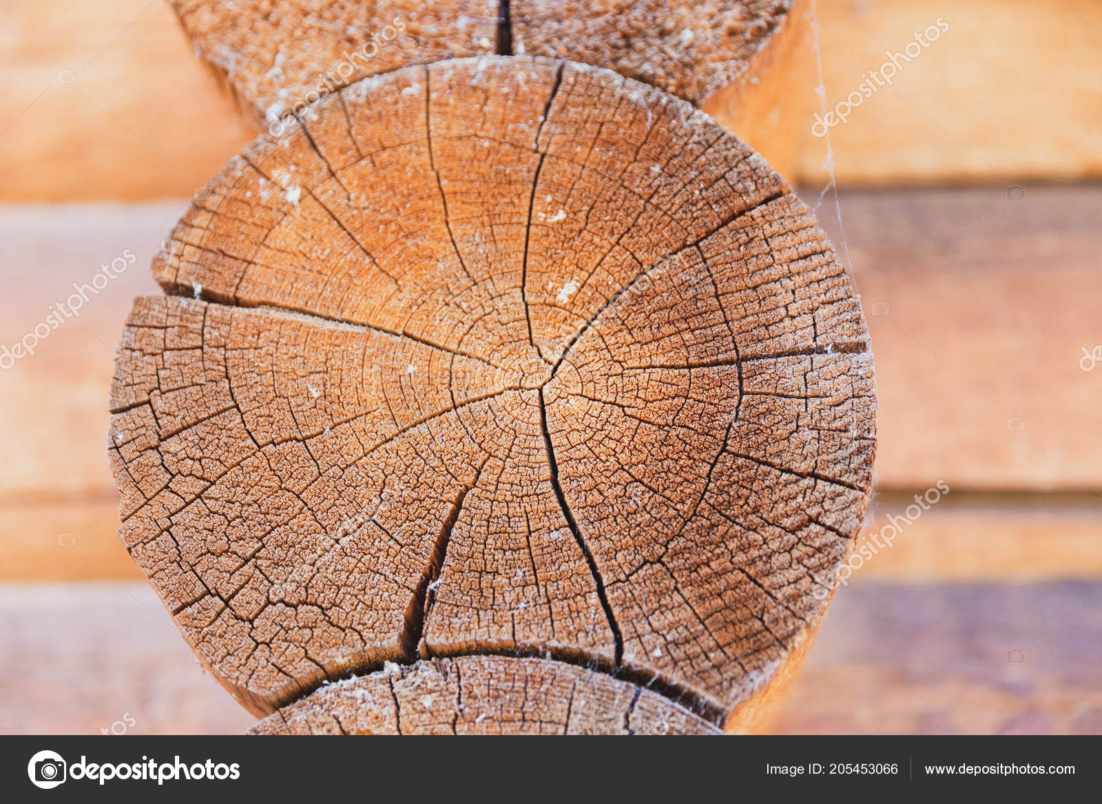 Close Details Logs Side Log Cabin Building Stock Photo