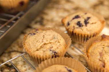 Ev bir fırın raf soğutma kağıt bardak blueberry Muffin yaptım.