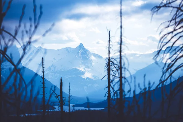 Dramatische Szene Glacier National Park Nachdem Waldbrände Teile Des Parks — Stockfoto