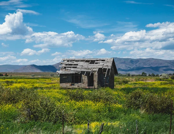 放棄された古い建物は 春または初夏に広大な農地の真ん中に立っています アメリカ モンタナ州で撮影 — ストック写真