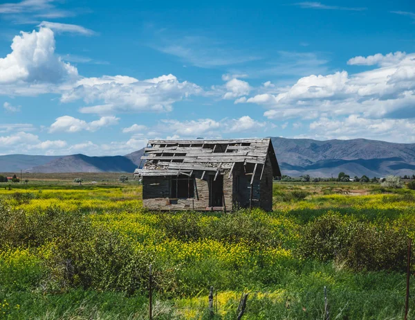 Antigo Edifício Abandonado Fica Meio Vastas Terras Agrícolas Primavera Início — Fotografia de Stock