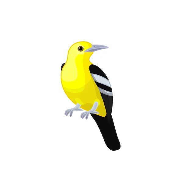 Vector Cartoon Clipart Animal Iora Pássaro Amarelo —  Vetores de Stock