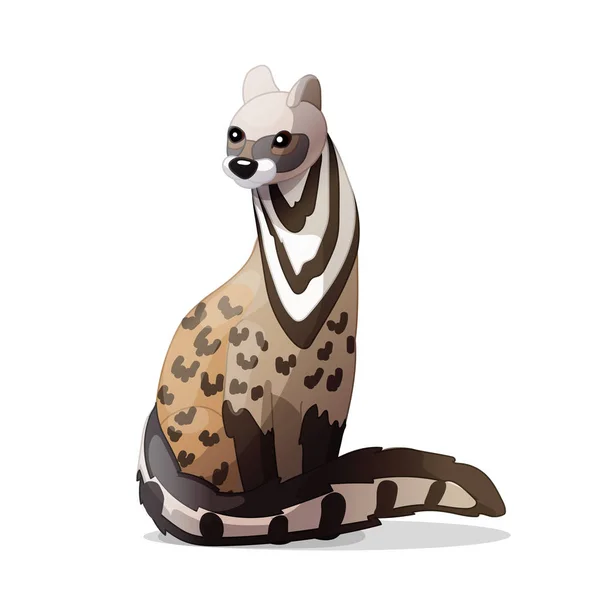 Vecteur Dessin Animé Animal Clipart Civet — Image vectorielle
