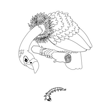 vektör çizgi karikatür hayvan clipart