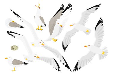 vektör düz karikatür hayvan küçük resim