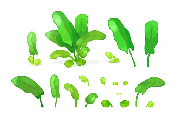 Vektor karikatúra növények Clip Art — Stock Vector