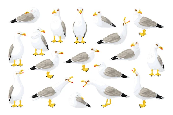 Vector Seagull zee meeuw set — Stockvector