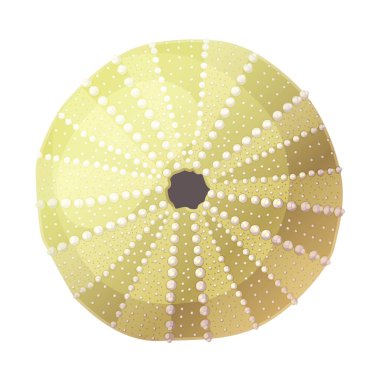 vektör deniz plaj nesne clipart