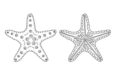 vektör deniz plaj nesne clipart