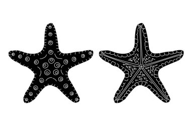 vektör deniz plaj nesne clipart