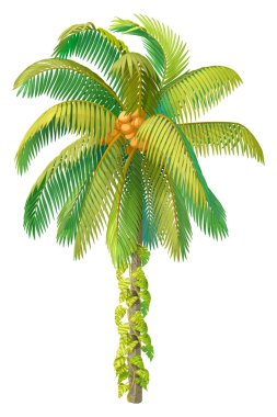 vector hand drawn plant clipart clipart
