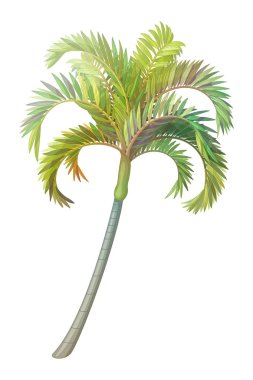 vektör el çizilmiş bitki clipart