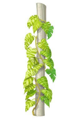 vektör el çizilmiş bitki clipart