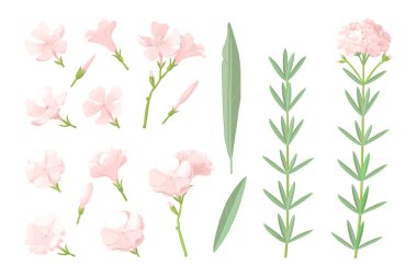 vektör el çizilmiş bitki clipart