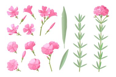 vektör el çizilmiş bitki clipart
