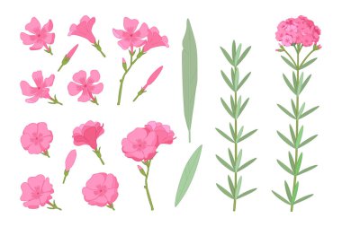vektör el çizilmiş bitki clipart