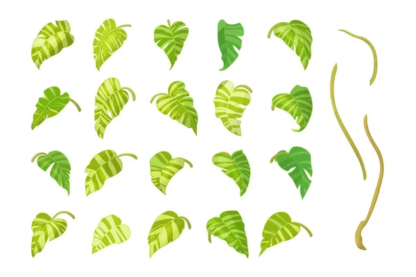 Vetor clipart planta desenhada à mão — Vetor de Stock