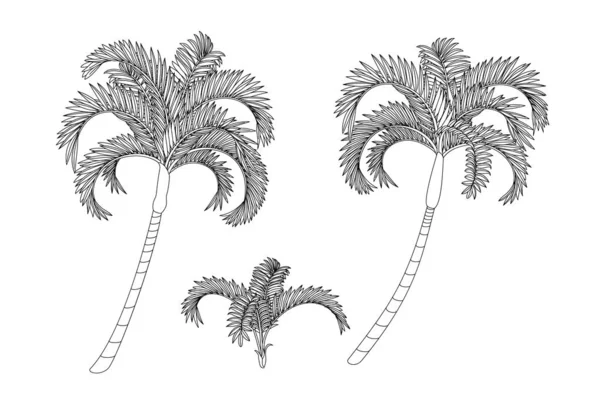 Χειροζωγραφικά φυτά Clip Art — Διανυσματικό Αρχείο