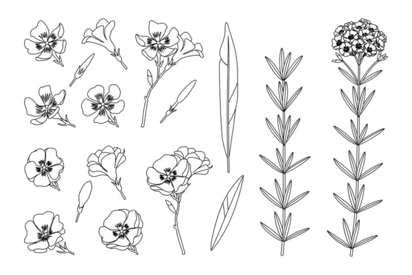 Vektorová část kreslené rostliny — Stockový vektor