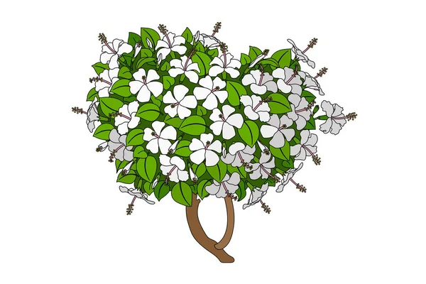 Vetor clipart planta desenhada à mão — Vetor de Stock