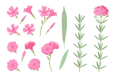 vektör el çizilmiş bitki clipart