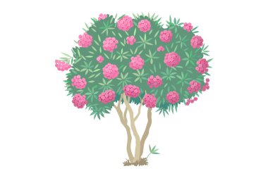 vektör el çizilmiş bitki clipart