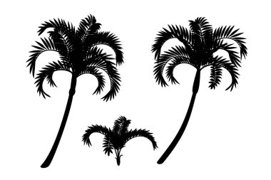 vektör el çizilmiş bitki clipart