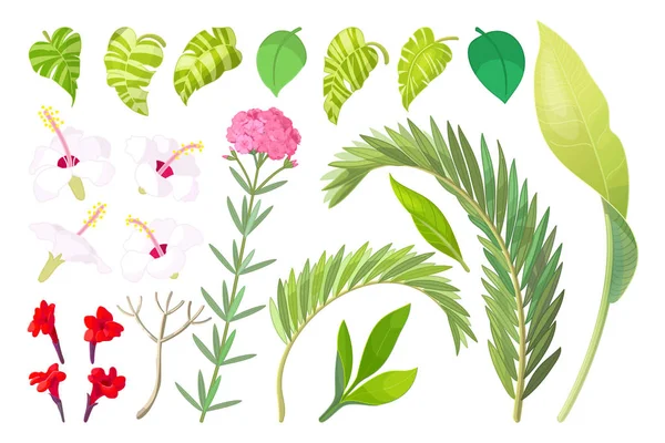 Комплект векторных тропических растений — стоковый вектор