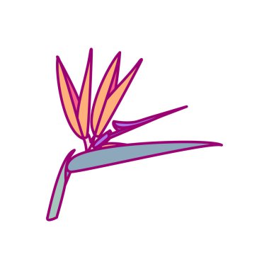 vektör el çizimi sevimli bitki klipsi sanatı egzotik çiçek