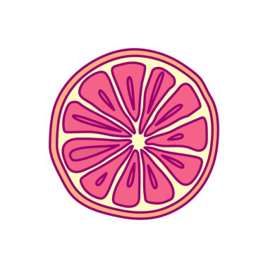 Vector hand drawn cute fruit clip art. grapefruit vector