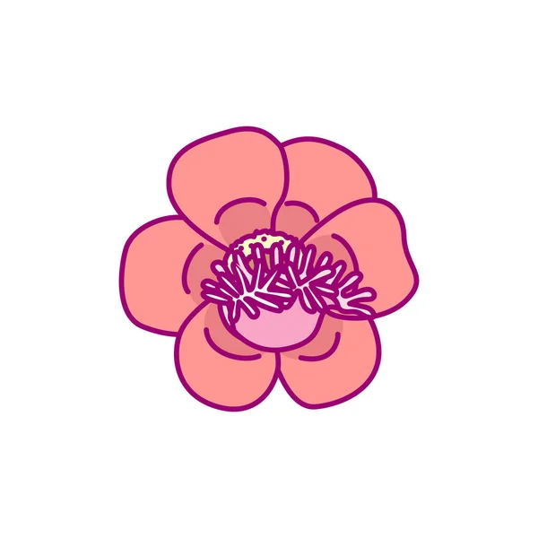 Wektor Handdrawn Cute Roślin Klip Sztuka Egzotyczne Kwiat — Wektor stockowy
