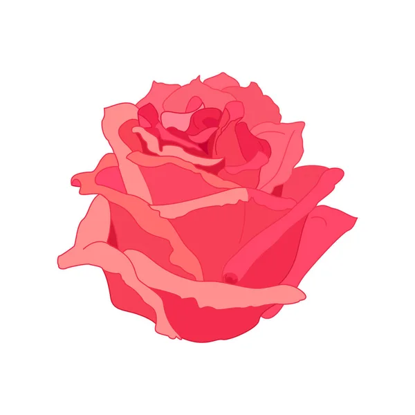 Векторное Искусство Цветок Розы Белом Изолированном Фоне — стоковый вектор