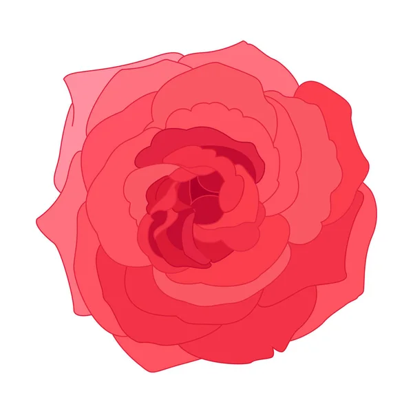 Vektor Rose Blume Clip Art Auf Weißem Isolierten Hintergrund — Stockvektor