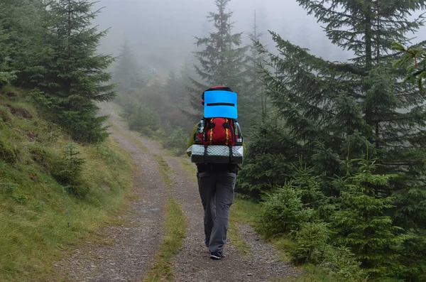 Excursionista Caminando Por Camino Nublado Del Bosque — Foto de Stock