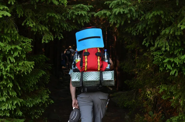 Wandelaar Met Rugzak Gaat Het Donkere Bos — Stockfoto