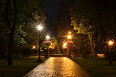 gece sokakta park