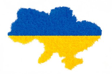 Ukrayna haritası Ukrayna bayrağı doku buğday beyaz arka plan üzerinde renkleri
