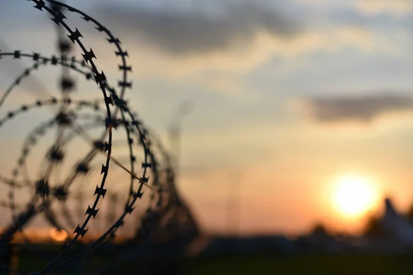 Barbed Wire Fence Fence Sunset Background — Stock Photo, Image