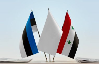 Estonya 'da Suriye bayrakları ayaklandı