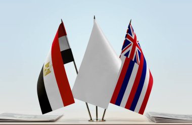 Hawaii ve Mısır bayrakları tezgahta.   